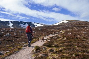 cairngorms, scottish highlands.