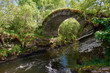 © Duncan Andison - The Old Bridge of Livet