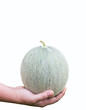 Woman holding melon in her hands on white background