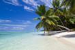Paradise : white sand, clear water, coconut, Madagascar