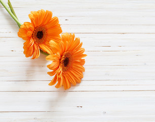 gerbera flowers on the wooden table