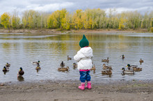 Girl Feeding Ducks On A River Bank