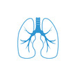 Human lungs vector