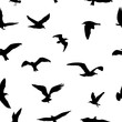 © boxerx - Seamless pattern of flying birds silhouettes on white background. Vector illustration