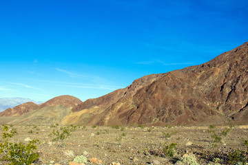 Poster - Death Valley National Park in spring