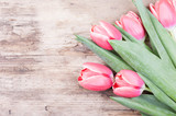 Fototapeta Tulipany - retro stylized card with red tulips on old wood