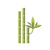 Fototapeta Sypialnia - Bamboo vector flat illustration. Leaf green design, japanese and chinese bamboo, asia isolated white icon. Spa icon