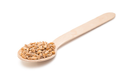 Sticker - wheat in a wooden spoon isolated