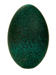 egg emu