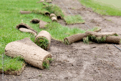 Fotografija Carpets of turf or grass with erosion control mesh during lawn reseeding