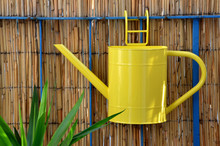 Yellow Metal Watering Can Hang On Balcony Railing Next To Green Plant