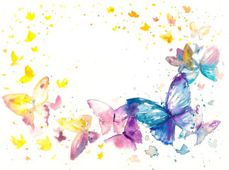 Beautiful watercolor butterfly on white paper background.