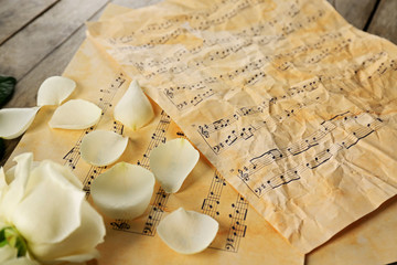 Sticker - Beautiful rose on music sheets background