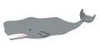 マッコウクジラ - Sperm Whale