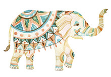 Indian Elephant Watercolor Illustration