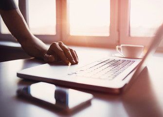 Young adult using laptop