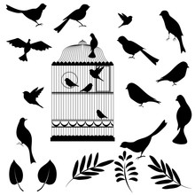 Vector Illustration, Of Bird Cage