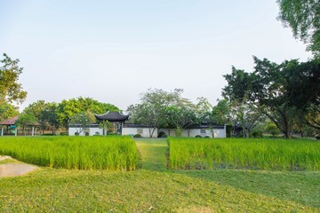 Pavilion of old Chinese style in public park
