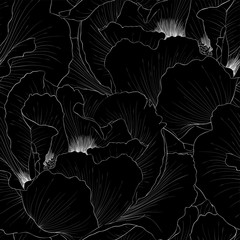 Wall Mural - beautiful black and white seamless pattern flowers.