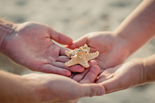 Wedding Rings On A Starfish In Hands Of The Groom And Bride