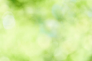 Fresh green background Bokeh