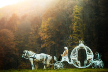 Vintage Carriage In Forest