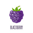 Blackberry fruit icon in flat style