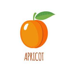 Wall Mural - Apricot icon in flat style on white background