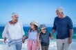 © WavebreakmediaMicro - Cute children holding grandparents hands