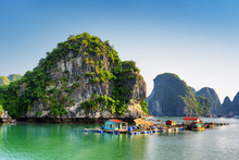 Beautiful View Of Floating Fishing Village In The Ha Long Bay