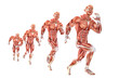 © kirill_makarov - Running man anatomy. Medical illustration. Isolated. Contains clipping path