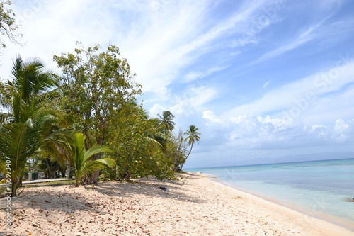 Plage Du Souffleur à Port Louis En Guadeloupe Buy This