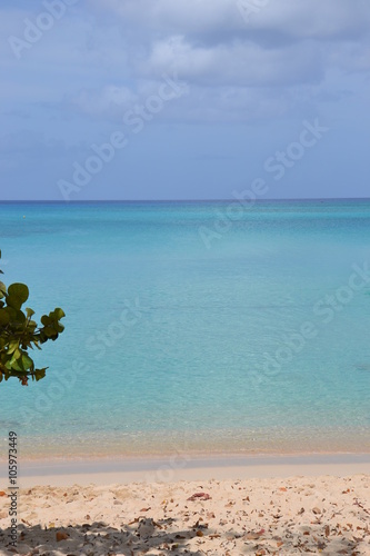 Plage Du Souffleur à Port Louis En Guadeloupe Buy This