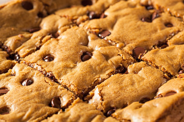 Canvas Print - Homemade Chocolate Chip Blondies