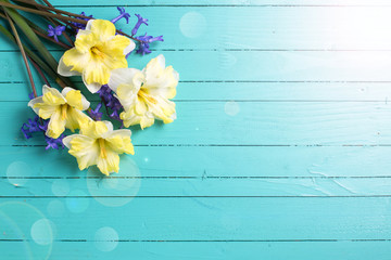 bright colorful yellow and blue spring flowers on green painted