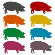 Silhouette Of Pig Icons Set 