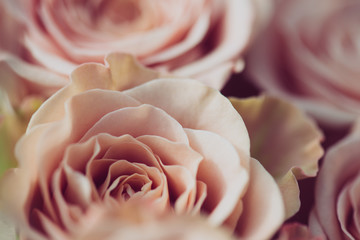 Canvas Print - Wedding bouquet of flowers, close up floral background