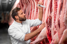 Butcher Measuring Pork Temperature In The Refrigerator At The Meat Manufacturing