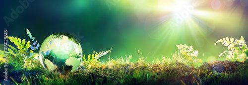 Fotomural Green Globe On Moss - Environmental Concept