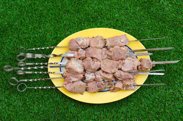 Picnic and cooking theme: raw meat for barbecue on a plate lying on a background of green grass in nature