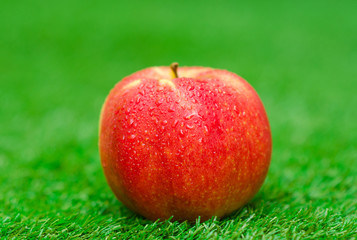 Fruits and healthy food theme: beautiful ripe red apple lying in the garden on the green grass in the summer