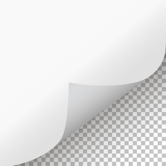 Wall Mural - Page curl with shadow on isolated background