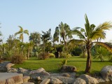 Fototapeta Desenie - Formal Garden