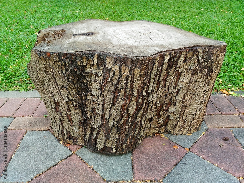 Timber converted into a seat in the garden Stock Photo | Adobe Stock