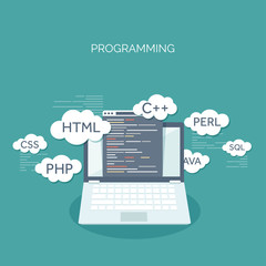 vector illustration. flat background. coding, programming. seo. search engine optimization. app deve