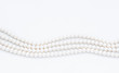 Pearls on the white background