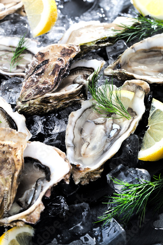 Valokuva  Frische Austern