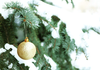 Wall Mural - Christmas toy on a snowy fir tree branch