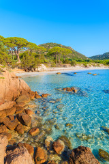 Wall Mural - Sandy beautiful Palombaggia beach with azure sea water, Corsica island, France