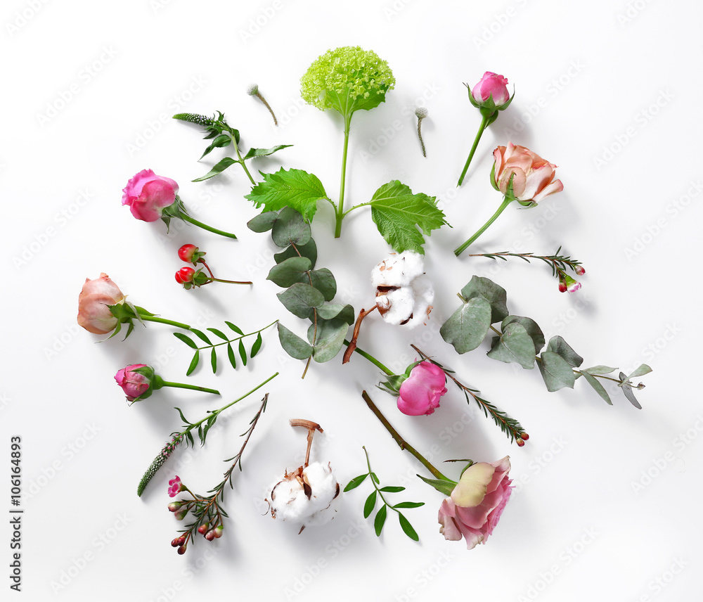 Flowers on white background